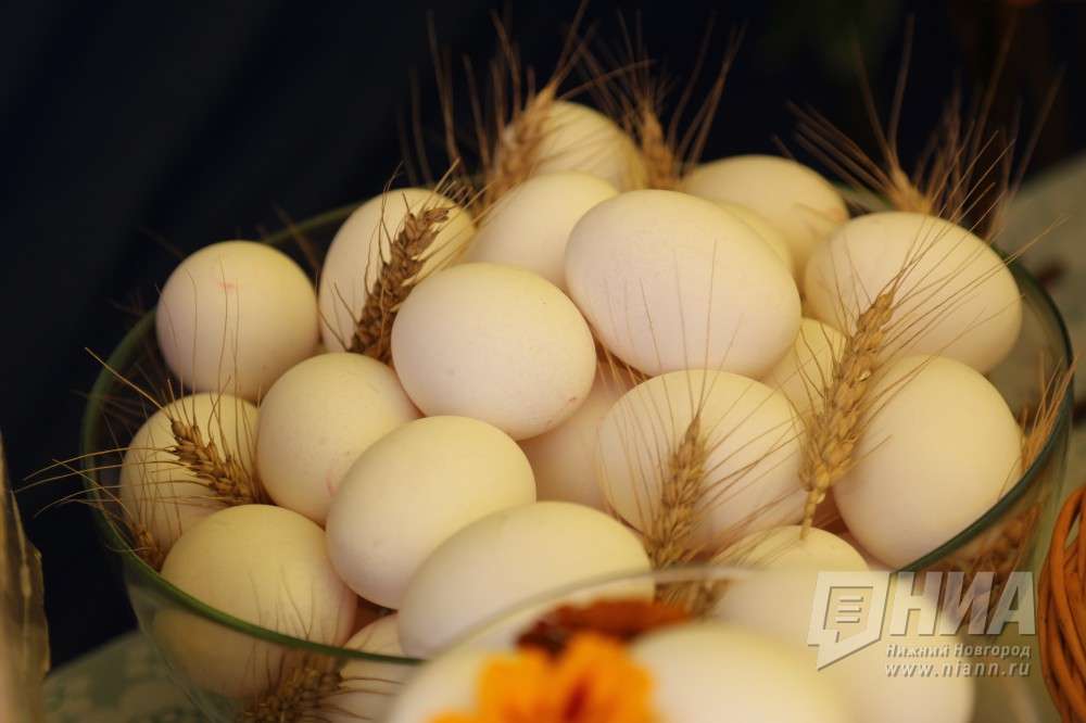 Куриные яйца в Нижегородской области подешевели на 4%