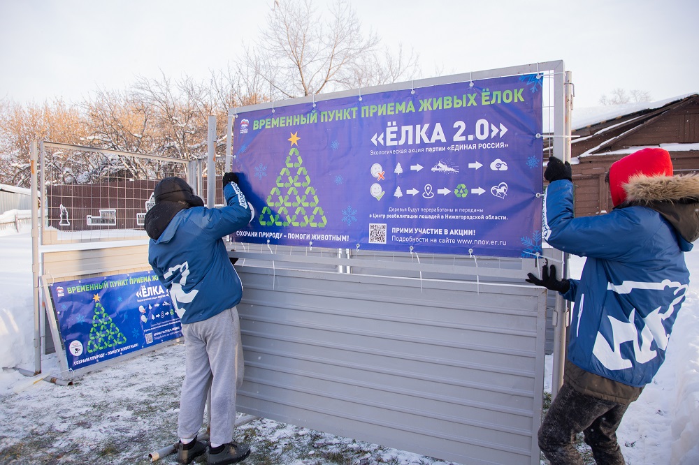 Акция по правильной утилизации новогодних ёлок стартовала в Нижегородской области