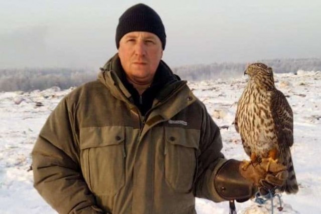 Ястребы будут бороться со скоплением птиц на полигоне ТБО в Балахнинском районе
