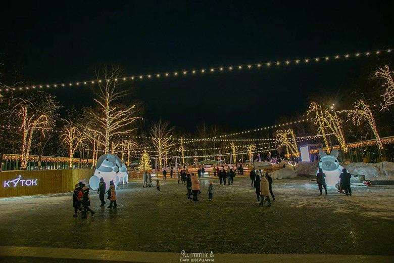Новогодняя иллюминация останется в нижегородском парке 